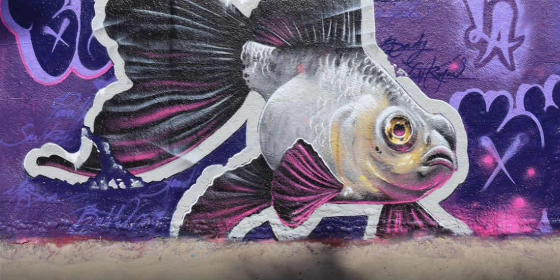 Este increíble artista te sorprenderá con su increíble arte urbano.