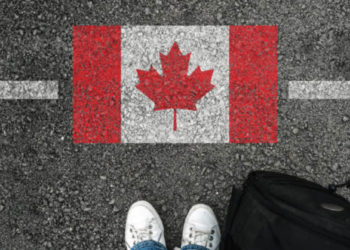 Gana 45 mil pesos al mes como Diseñador Gráfico en Canadá