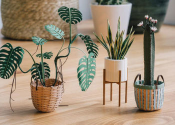 Increíbles esculturas miniatura de plantas en papel…