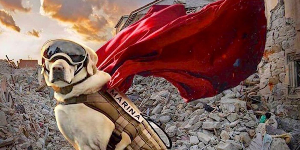 El recuerdo más perrón del 19S: Frida.