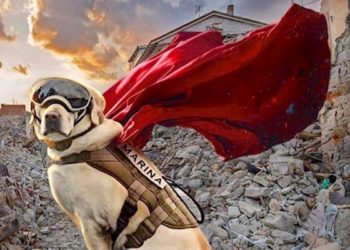 El recuerdo más perrón del 19S: Frida.