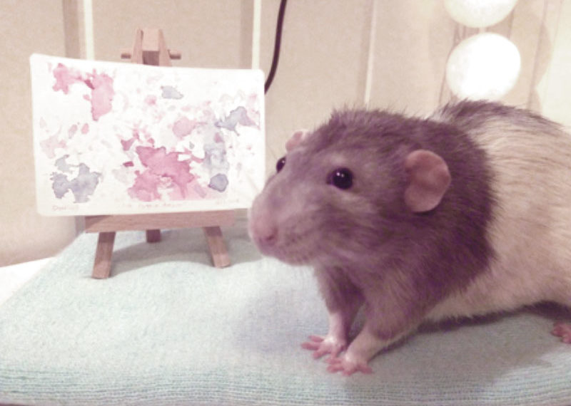Darius, el ratatouille del arte gráfico.