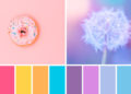 15 hermosas paletas de colores pastel