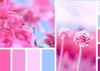 20 hermosas paletas de color para inspirarte