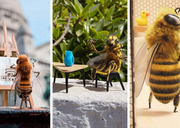 ¡La primer abeja influencer del mundo genera “ruido”‘ en instagram en un intento por salvarse! 🐝✨