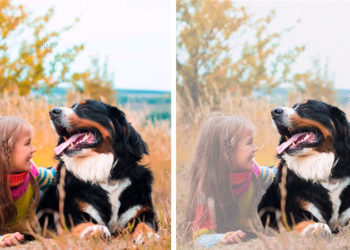 Photoshop Sneak Peek: La Nueva Herramienta de Selección de Objetos