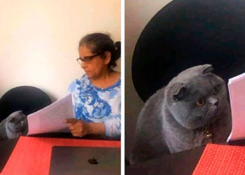 Los mejores memes de Diseño Gráfico del 2019