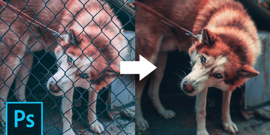 Elimina rejas con 3 simples pasos en Photoshop