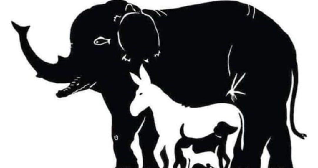 ¿Puedes encontrar a los 13 animales en la imagen?