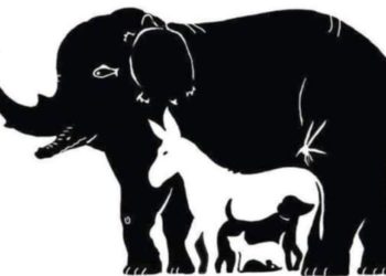 ¿Puedes encontrar a los 13 animales en la imagen?