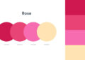 25 hermosas Paletas de Colores para tu próximo proyecto de diseño.