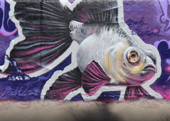 Este increíble artista te sorprenderá con su increíble arte urbano.