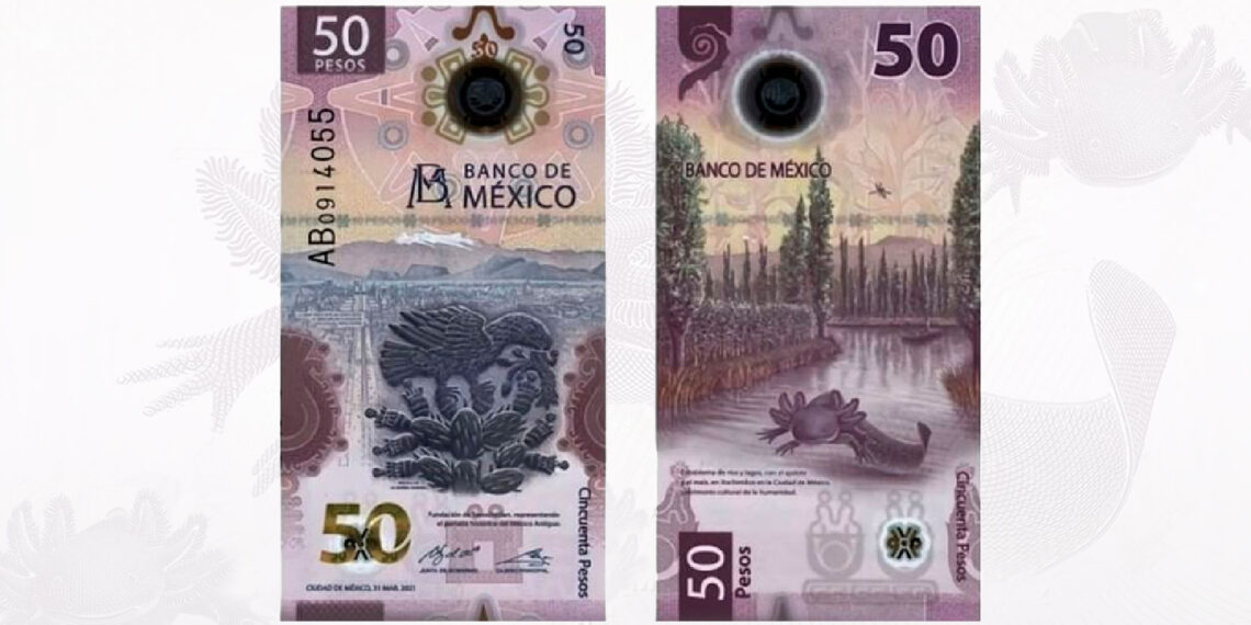 Billete de 50 pesos del ajolote gana el premio al ‘MÁS BONITO DEL MUNDO’
