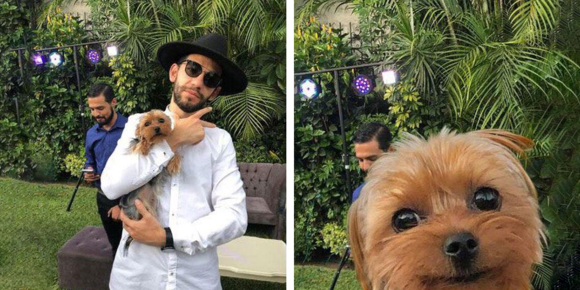 James Fridman: El diseñador gráfico que trolea a quienes le piden que mejore sus fotos