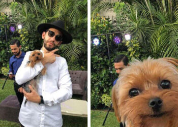 James Fridman: El diseñador gráfico que trolea a quienes le piden que mejore sus fotos