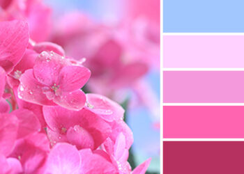 Flores: 20 Hermosas Paletas De Color Para Inspirarte