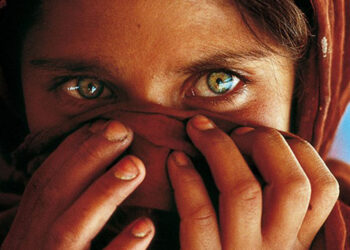 Las Mejores Fotografías del Mundo