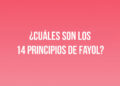 ¿Cuáles son los 14 principios de Fayol?