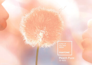 Pantone devela el color del año 2024: “Peach Fuzz”