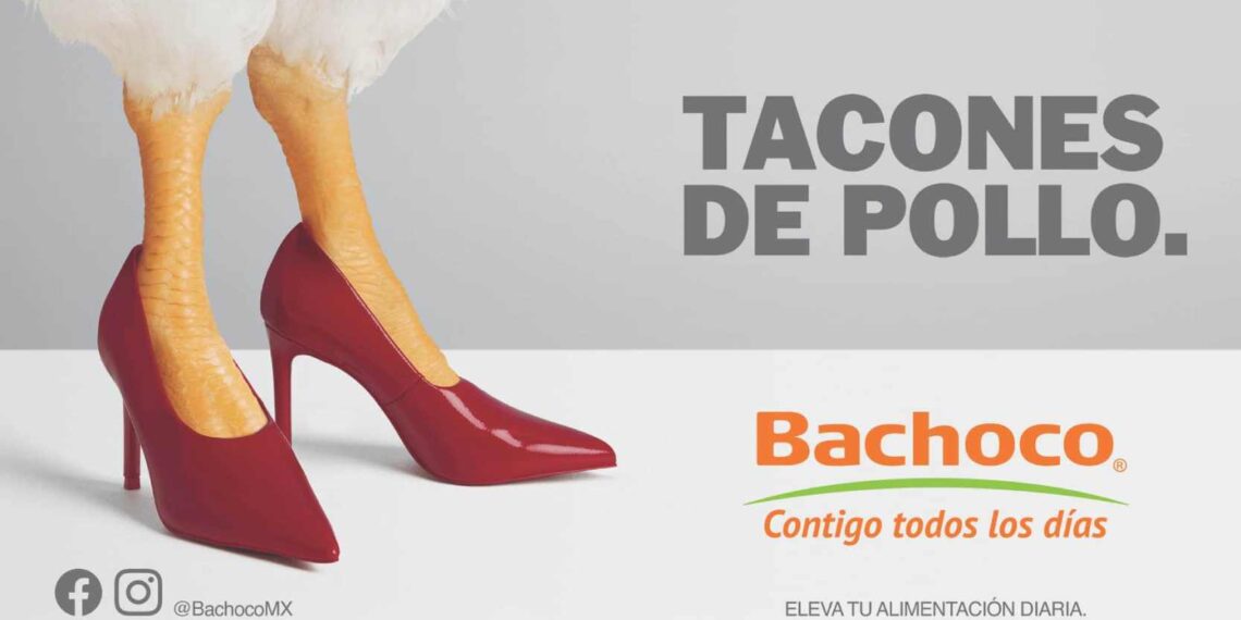 Casos de éxito: La historia de la campaña de Bachoco